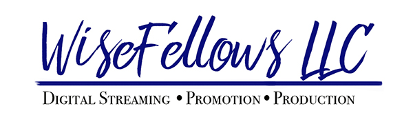 WiseFellows LLC